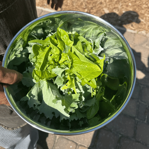 Screenshot 2025-05-28 at 2-58-11 PM